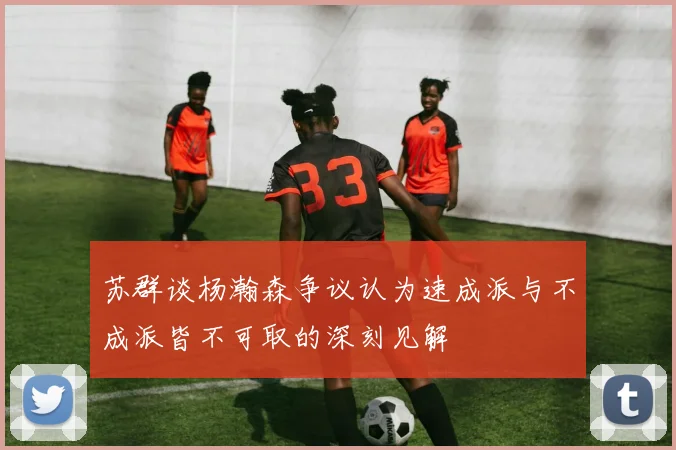 苏群谈杨瀚森争议认为速成派与不成派皆不可取的深刻见解